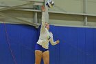 Wheaton Women's Volleyball  Wheaton Women's Volleyball vs Bridgewater State University. : Wheaton, Volleyball, BSU, Bridgewater State College